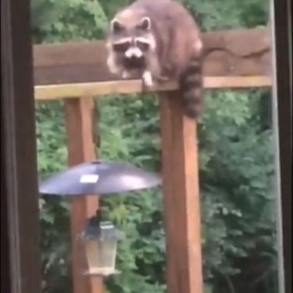 Meet your Posher, Paty - Picture 10 of 16